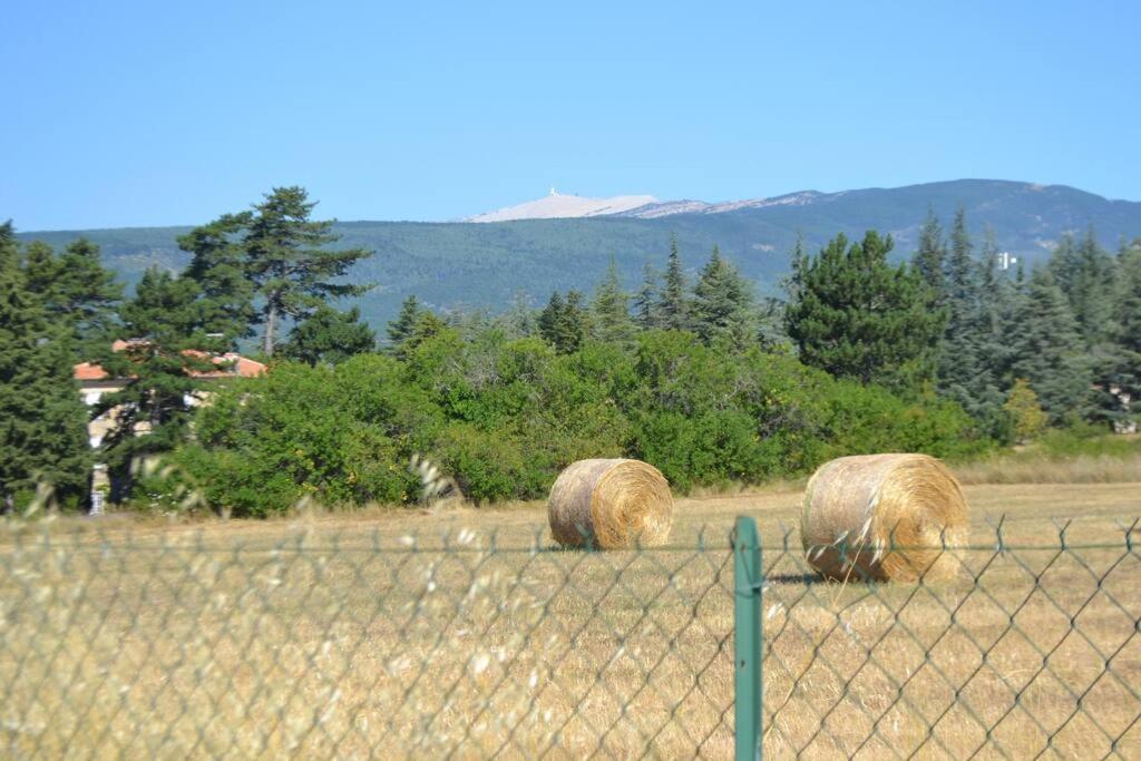 Les Fadas Du Ventoux Sault Exterior foto